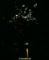 IMG_0135