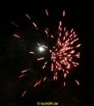 IMG_0213