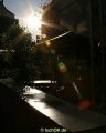 IMG_0062