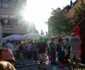 DSC00529