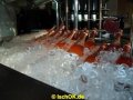DSC06525