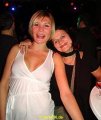 DSC03533