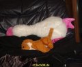 DSC09373