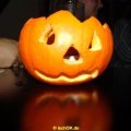 DSC00536