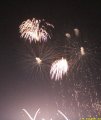 IMG_0486