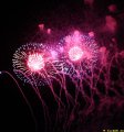 IMG_0534