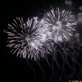 IMG_0535