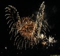 IMG_0559