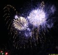 IMG_0560