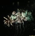 IMG_0575