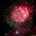 IMG_0776