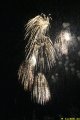 IMG_0780