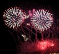 IMG_0840