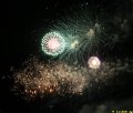 IMG_0869