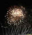 IMG_0488