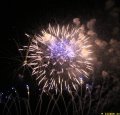 IMG_0504