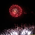 IMG_0529