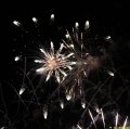 IMG_0575