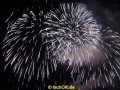 DSC00397