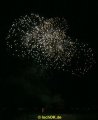 IMG_0229
