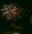 IMG_0529