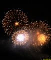 IMG_0794