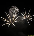 IMG_0968