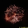 DSC00329
