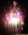 DSC00334