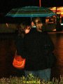 DSC07033