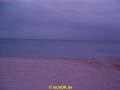 DSC00841