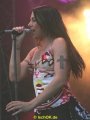 IMG_0786