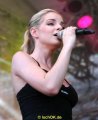 IMG_1245
