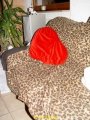 DSC01776
