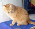 DSC01795