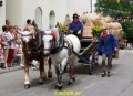 IMG_0348