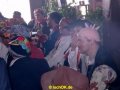 IMGP1256