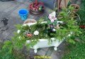DSC00017