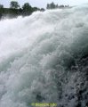 DSC06704