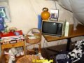 DSC05501