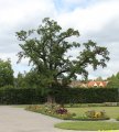 IMG_1162