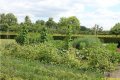 IMG_1167