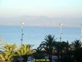 DSC00567
