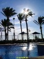 DSC00590