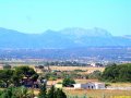 DSC00071