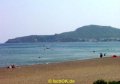 DSC02949